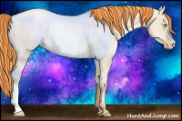 Horse Color:Painted Chocolate Palomino Pearl Dun Rabicano