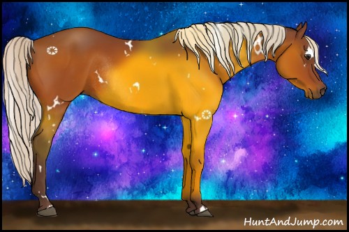 Horse Color:White Spotted Silver Bay Rabicano 