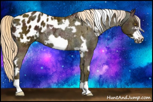 Horse Color:White Spotted Midnight Palomino Frame Appaloosa Rabicano 