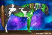 Horse Color:Painted White Spotted Liver Chestnut Rabicano 