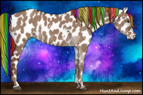Horse Color:Painted White Spotted Liver Red Dun Appaloosa Rabicano 