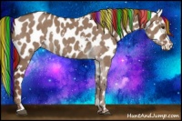 Horse Color:Painted White Spotted Liver Red Dun Appaloosa Rabicano 