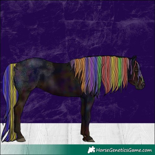 Horse Color:Gray Painted Midnight Chestnut Ice 