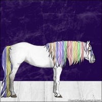 Horse Color:Gray Painted Midnight Chestnut Ice 