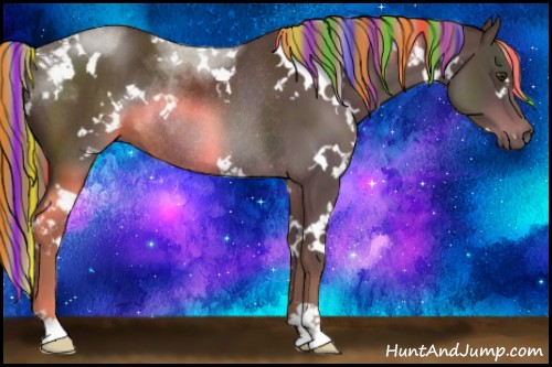 Horse Color:Painted White Spotted Liver Chestnut Rabicano 