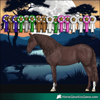 Horse Color:Chocolate Black