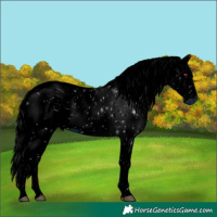 Horse Color:ERROR: UNKNOWN ANOMALY