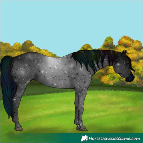 Horse Color:ERROR: UNKNOWN ANOMALY