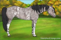 Horse Color:White Spotted Brown Ice Dun Rabicano 