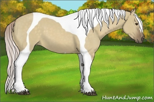 Horse Color:Chocolate Palomino Dun Tobiano 