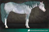Horse Color:Watercolor White Spotted Buckskin 