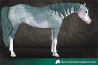 Horse Color:Watercolor White Spotted Buckskin