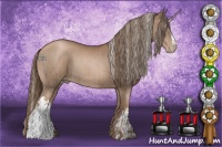 Horse Color:Silver Black Pearl and Black Pearl