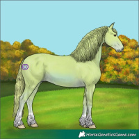Horse Color:Watercolor Chestnut 