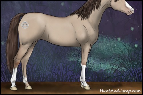 Horse Color:Classic Champagne Dun 