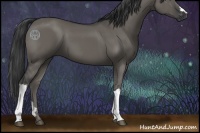 Horse Color:Grullo 