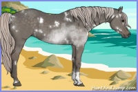 Horse Color:White Spotted Silver Grullo Tobiano 