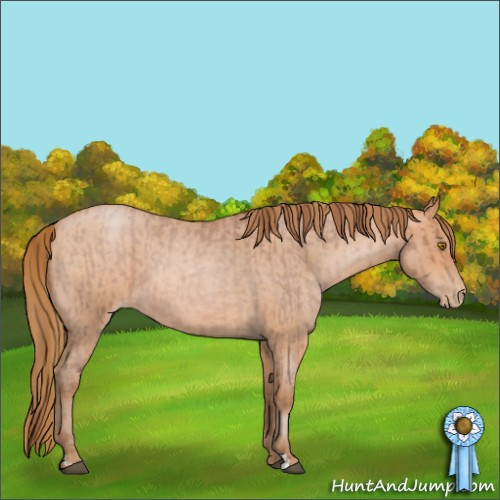 Horse Color:Bay Roan Pearl  and Bay Roan Pearl 