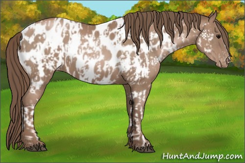 Horse Color:Black Pearl Near Leopard  and Black Pearl Near Leopard 