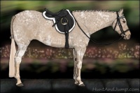 Horse Color:Palomino Ice Roan 