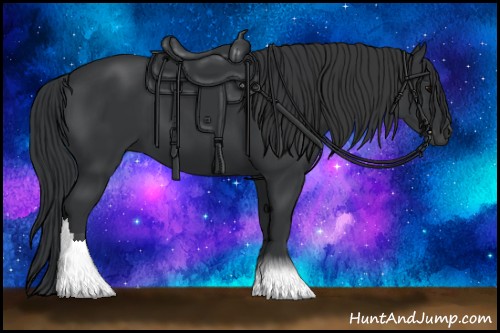 Horse Color:Black Tobiano Rabicano 