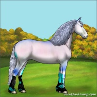 Horse Color:Watercolor Silver Bay Chinchilla Onyx 