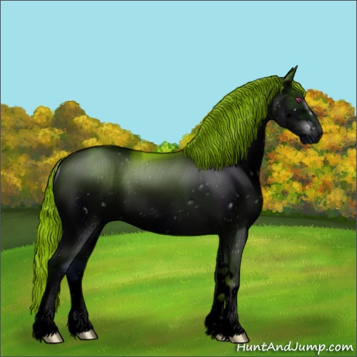 Horse Color:ERROR: UNKNOWN ANOMALY