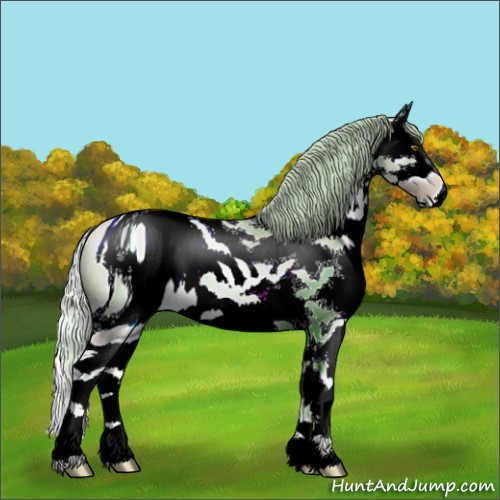 Horse Color:ERROR: UNKNOWN ANOMALY