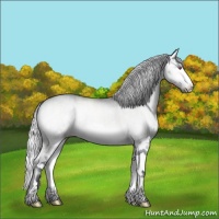 Horse Color:Silver Brown Chinchilla Onyx Sabino Splash 