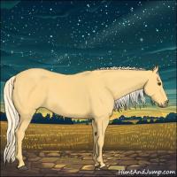 Horse Color:Palomino