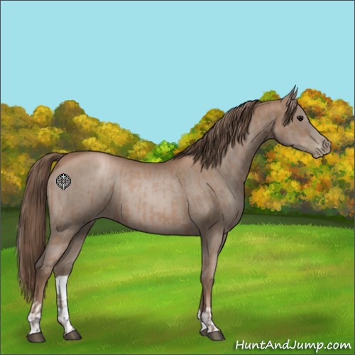 Horse Color:Black Pearl and Black Pearl