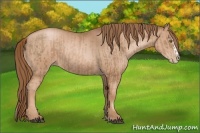 Horse Color:Liver Chestnut Pearl  and Liver Chestnut Pearl Splash 