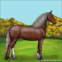Horse Color:Chocolate Silver Brown 