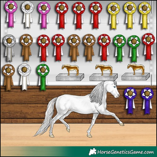 Horse Color:Smoky Creme Sabino Appaloosa 