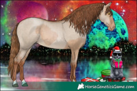 Horse Color:Brown Pearl Dun  and Bay Pearl Dun 