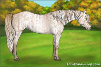 Horse Color:Liver Chestnut Pearl and Gray Liver Chestnut Pearl