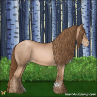 Horse Color:Liver Chestnut Pearl  and Liver Chestnut Pearl 