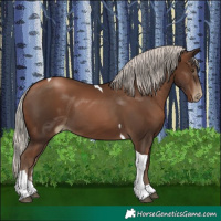 Horse Color:Gray Silver Black Pearl Tobiano