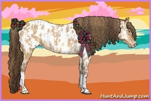 Horse Color:Amber Champagne Sabino Tobiano Near Leopard and Amber Cream Champagne Sabino Tobiano Near Leopard