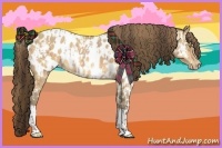 Horse Color:Amber Champagne Sabino Tobiano Near Leopard and Amber Cream Champagne Sabino Tobiano Near Leopard