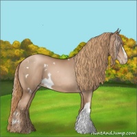 Horse Color:Liver Chestnut Pearl and White Spotted Liver Chestnut Pearl