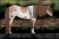 Horse Color:Black Pearl  and Brown Roan Pearl Dun Tobiano 