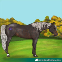 Horse Color:Silver Brown 