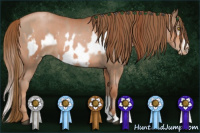 Horse Color:Brown Roan Pearl  and Liver Chestnut Pearl Frame 