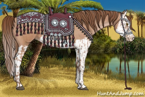 Horse Color:Brown Pearl  and Brown Pearl Splash 