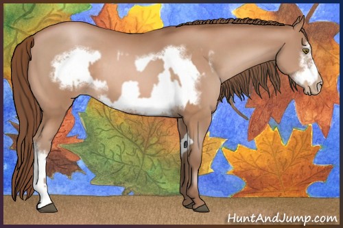 Horse Color:Brown Pearl and Brown Pearl Frame