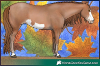 Horse Color:Brown Pearl  and Brown Pearl Frame 