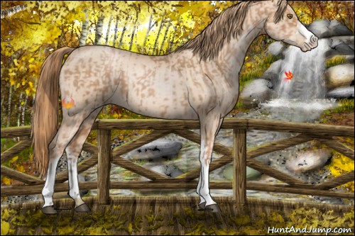 Horse Color:Liver Chestnut Pearl  and Gold Champagne Pearl 