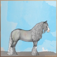 Horse Color:Silver Grullo Chinchilla Roan Splash 