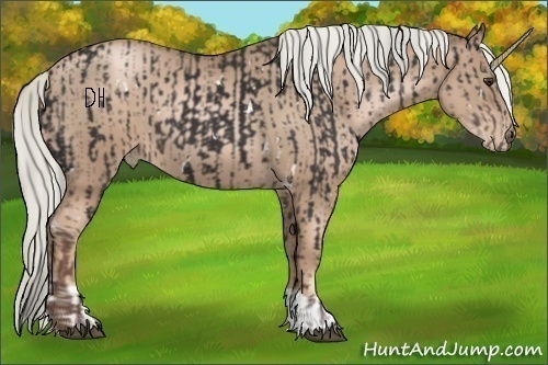 Horse Color:White Spotted Liver Chestnut  and Liver Chestnut Pearl 